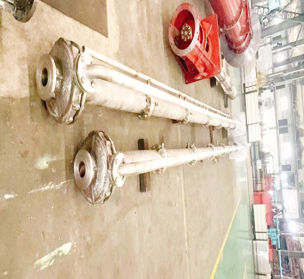 立式液下排污泵廠家湖南立佳機(jī)械YW系列立式液下排污泵